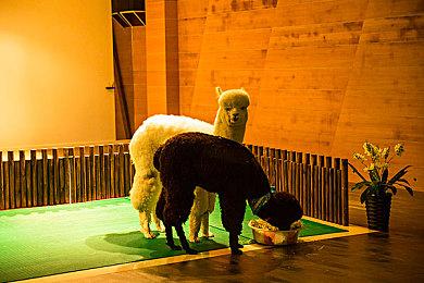 消息称9月直面会将带来NDS和Wii游戏重制版